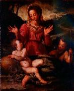 Andrea del Sarto Madonna and Child with St oil painting